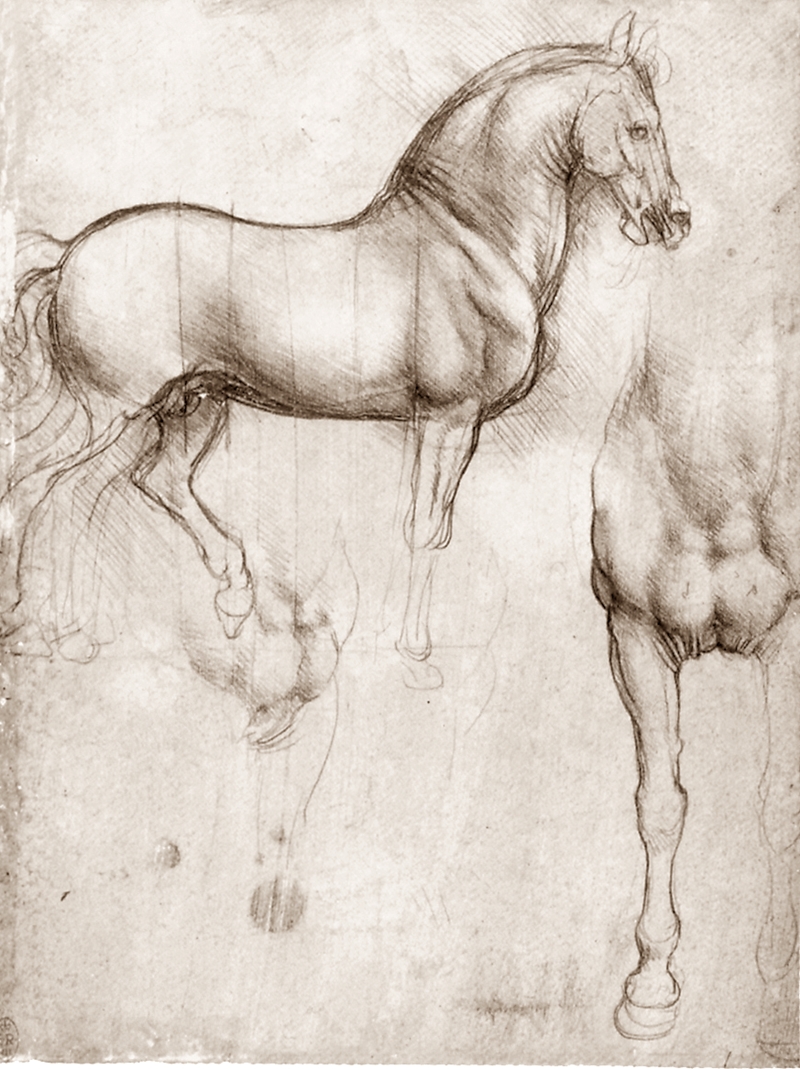 Leonardo+da+Vinci-1452-1519 (349).jpg